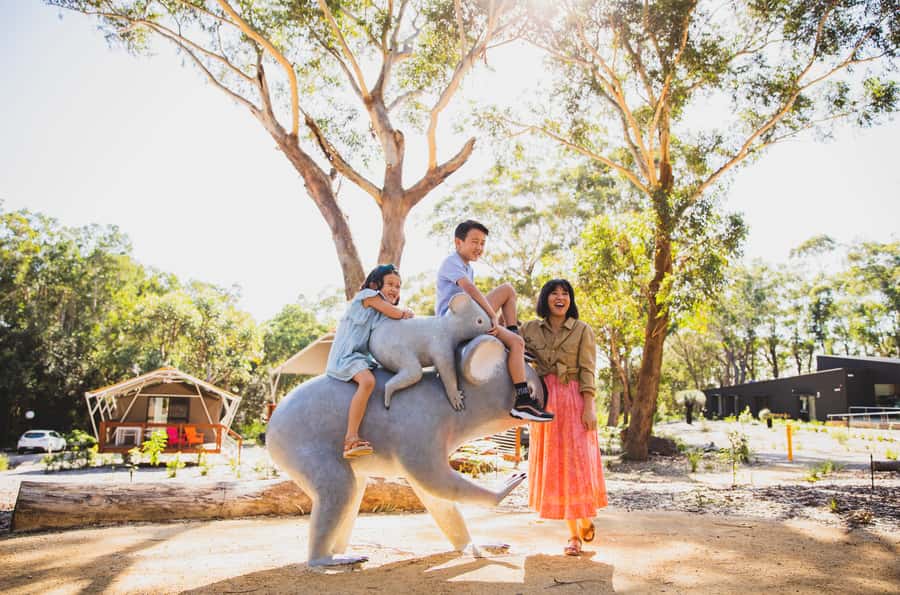 Port Stephens: Koala Sanctuary General Admission Ticket - What else you might spot in the bush