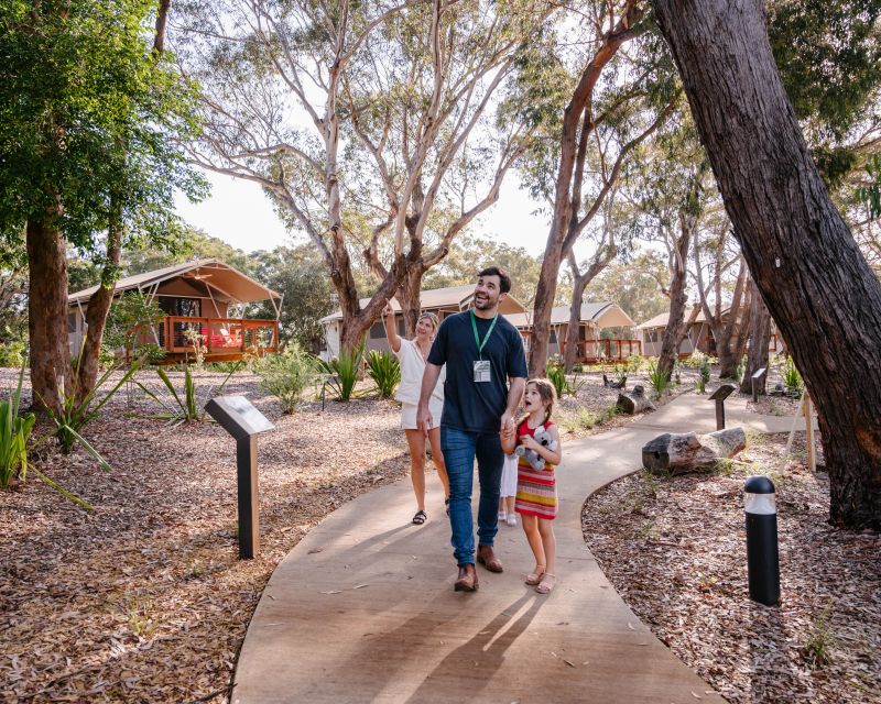 Port Stephens: Koala Sanctuary General Admission Ticket - How to plan your timing (so you don’t feel rushed)