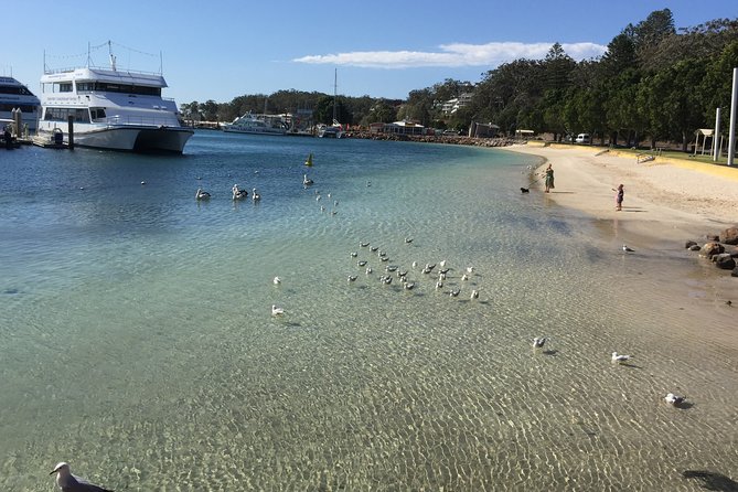 Port Stephens Private Tour From Sydney, with Dolphin/ Whale Cruise Options - Lunch at Nelson Bay Bowling and Recreation Club: good views, not a guaranteed meal