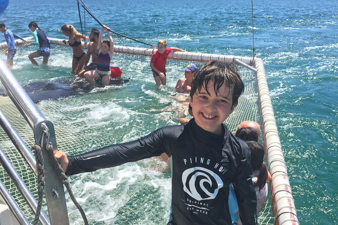Port Stephens Private Tour From Sydney, with Dolphin/ Whale Cruise Options - Little Beach Reserve: the quick photo stop that can turn into a swim break
