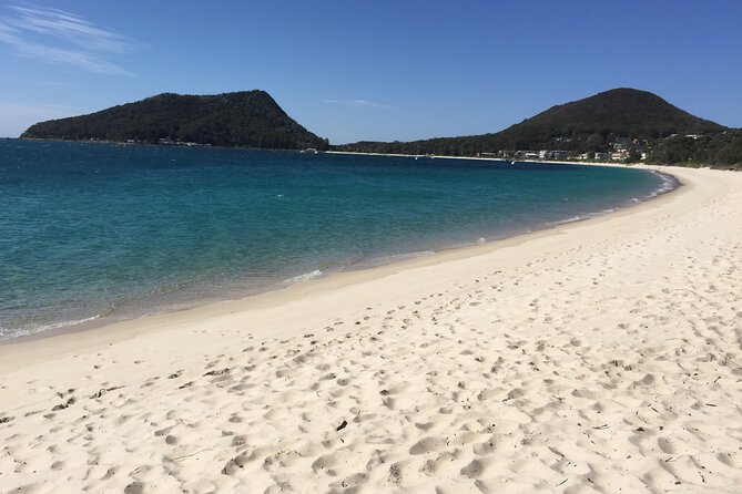 Port Stephens Private Tour From Sydney, with Dolphin/ Whale Cruise Options - Dolphin and whale cruise options: how to choose