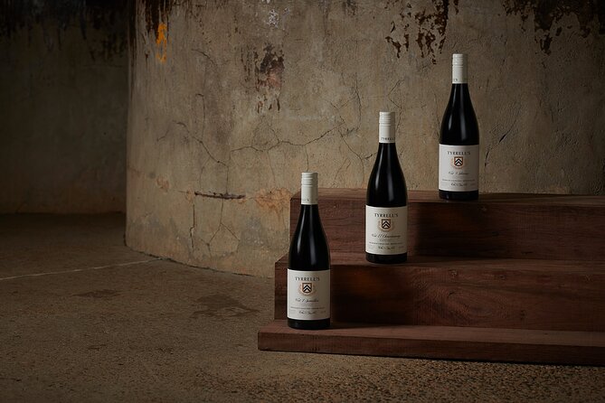 Premium Wine Tasting Experience in Pokolbin - The tutor’s role: how to get the most from a guided tasting