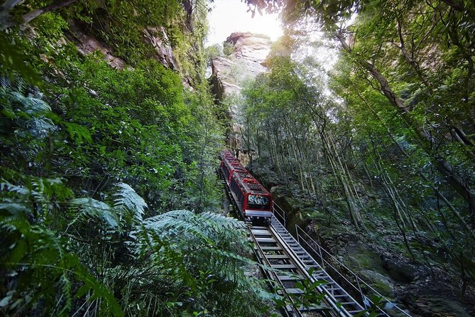 Private All Blue Mountains Day Tour - Entering the Blue Mountains With a Private-Day Rhythm