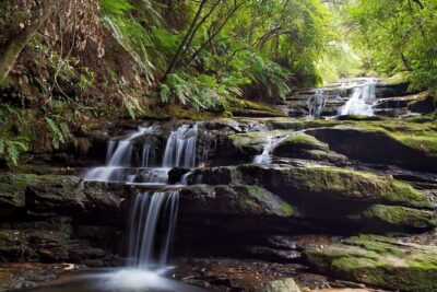 Private All Blue Mountains Day Tour - Echo Point and the Three Sisters: Why This Stop Usually Feels Like the Main Event