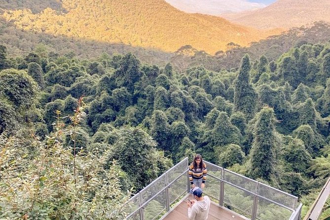 Private All Blue Mountains Day Tour - Finishing With a Sydney Harbour River Cruise Return