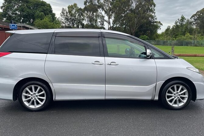 Private Arrival Transfer: Sydney Airport to Hotel or Cruise Port - Potential hiccups to watch for (and how to prevent them)
