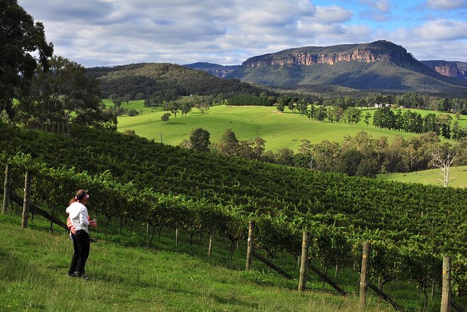 Private Blue Mountains and Winery Day-Trip from Sydney - Driving through gum-tree forests and vineyards