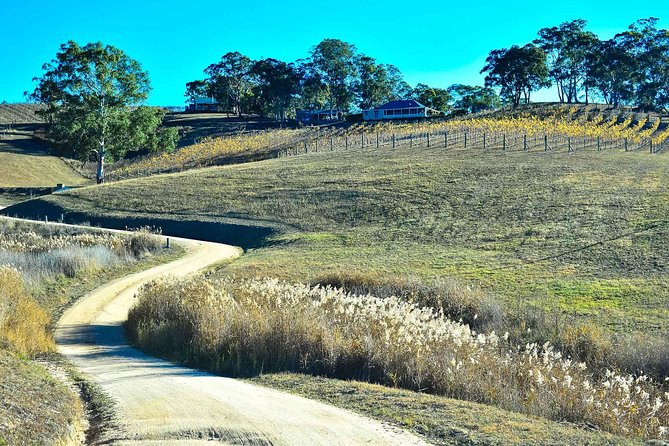 Private Blue Mountains and Winery Day-Trip from Sydney - Value and price: what $1,595 gets you for a group