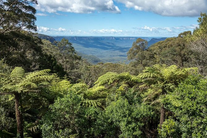 Private Blue Mountains Day Tour (avoid the crowds) - Price and value: what $161.38 per person buys you