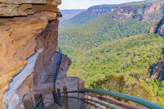 Private Blue Mountains Escape The Crowds Mercedes Tour - Sydney pickup and the ride: what you should verify