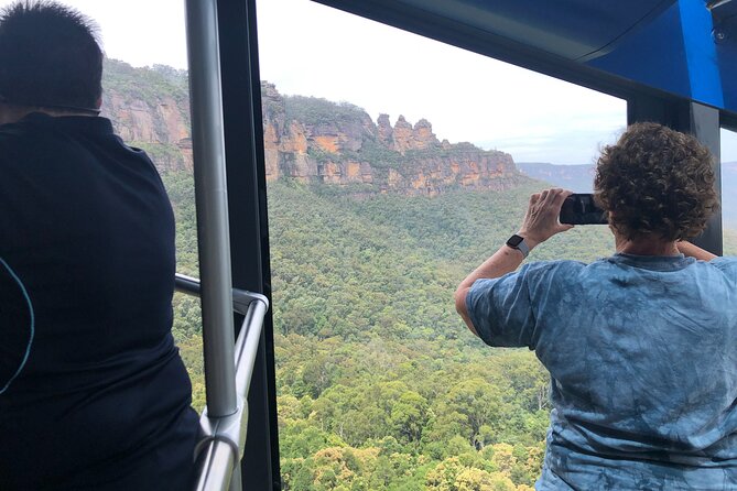 Private Blue Mountains High Country Day Trip from Sydney - Blue Mountains National Park (Glenbrook): Wild Kangaroos and Birdlife
