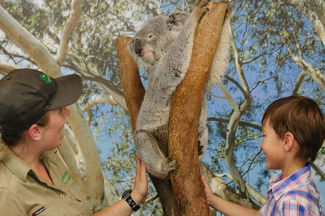 Private Blue Mountains High Country Day Trip from Sydney - Featherdale Wildlife Park: Koalas and Kangaroos Without the Zoo-Feeling