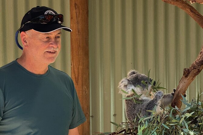 PRIVATE Blue Mountains Scenic World Australian Wildlife & Cruise - Featherdale Wildlife Park: koalas, kangaroos, and hands-on moments