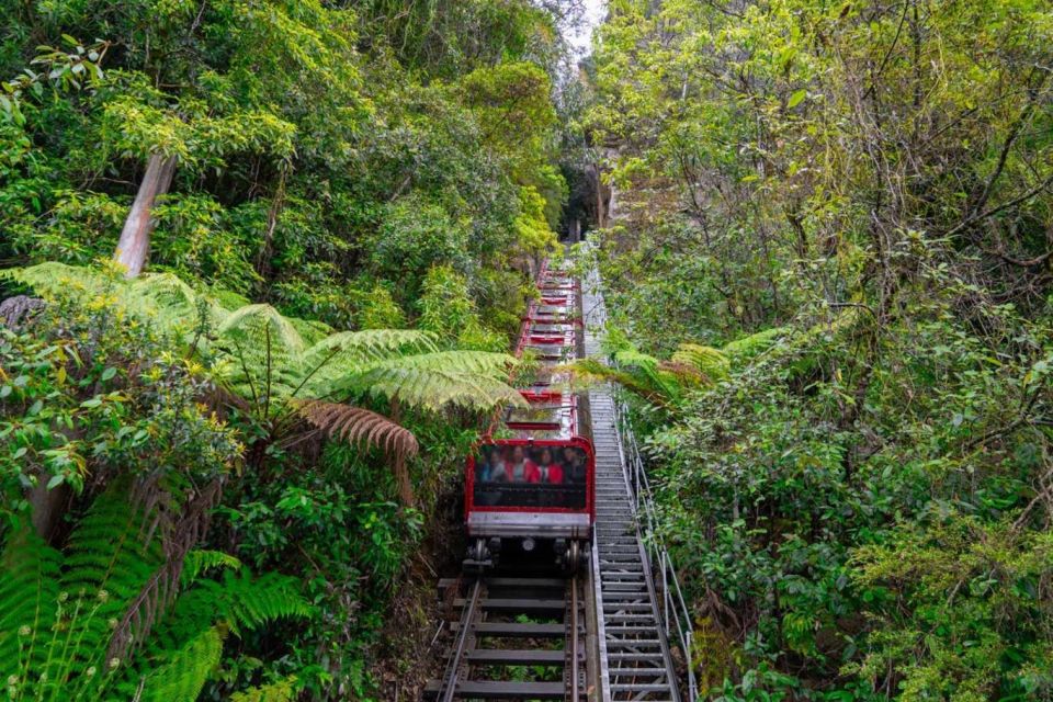 Private Blue Mountains, Scenic World & Wentworth Falls Tour - Katoomba Falls and the Lookouts: Finishing With Famous Viewpoints