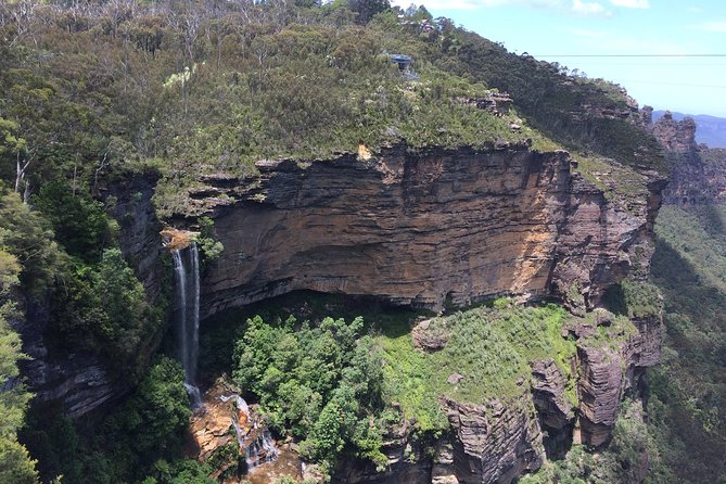 PRIVATE Blue Mountains tour & Koalas, Kangaroos, Cruise plus more - Why this Blue Mountains day feels different from the usual bus tour
