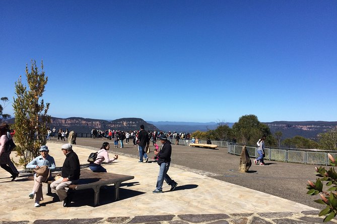 PRIVATE Blue Mountains tour & Koalas, Kangaroos, Cruise plus more - Getting started right: pickup, private van comfort, and a guide who sets the tone