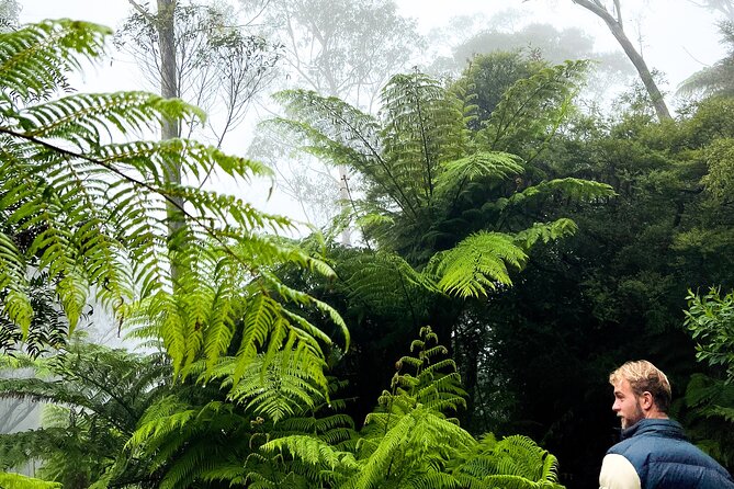 Private Blue Mountains Tour | Waterfalls, Koalas & Views - Echo Point and the Three Sisters: the postcard stop that still hits