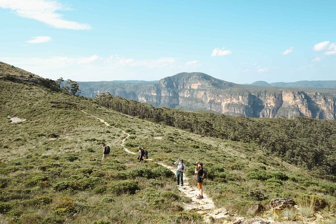 Private Blue Mountains Tour | Waterfalls, Koalas & Views - Lincoln’s Rock: the short opener that sets the whole day