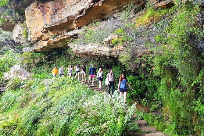 PRIVATE Blue Mountains Tour, Wildlife Park and River Cruise - Katoomba and Leura breaks: small towns with breathing room