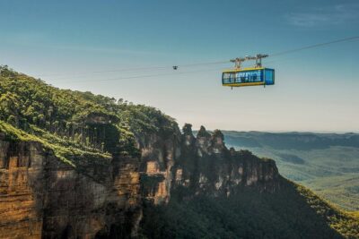 PRIVATE Blue Mountains Tour, Wildlife Park and River Cruise - Wildlife Park or Sydney Zoo: koalas, kangaroos, wombats, and crocodiles