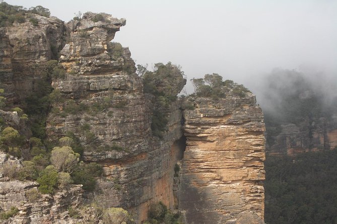 PRIVATE Blue Mountains Tour with Expert Guide - Wentworth Falls and the in-between views