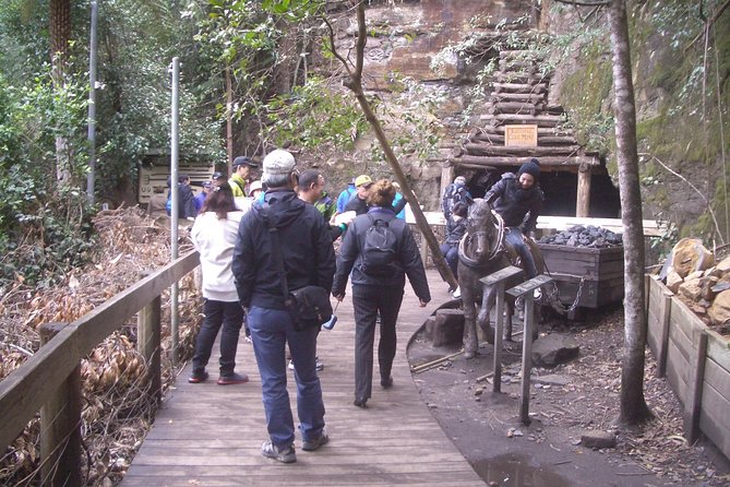 PRIVATE Blue Mountains Tour with Expert Guide - Returning by ferry: a calmer end in Sydney Harbour