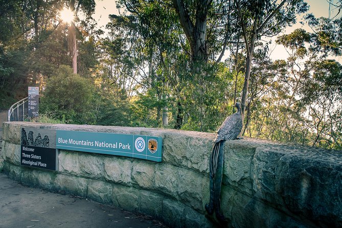 PRIVATE Blue Mountains Wilderness & Wildlife Late Start Tour - Calmsley Hill City Farm: VIP koalas without the zoo vibe