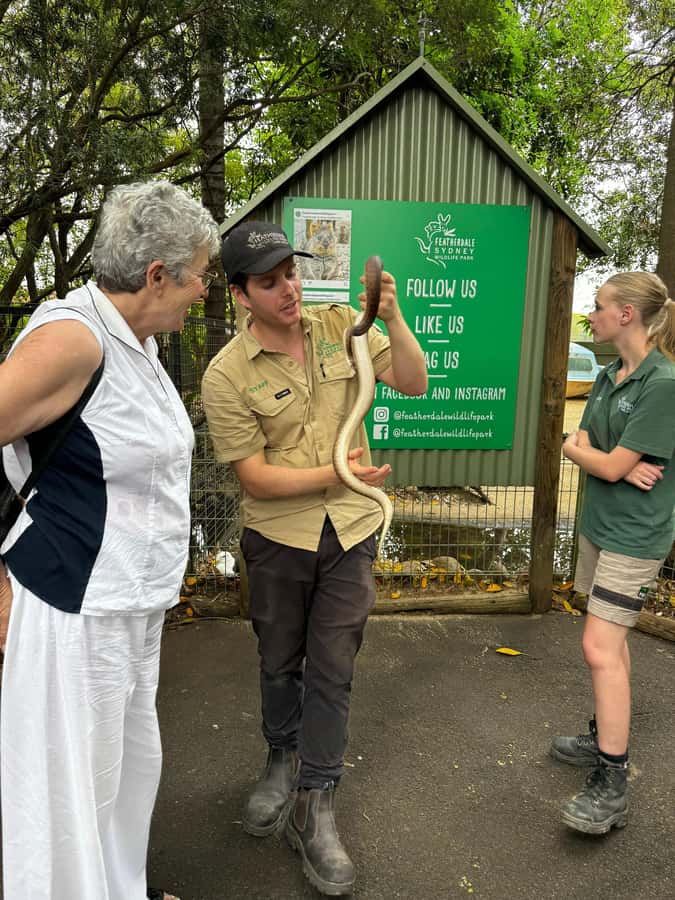 Private BlueMountains, ScenicWorld & AustralianWildlife Tour - Should You Book This Blue Mountains Wildlife Private Tour?