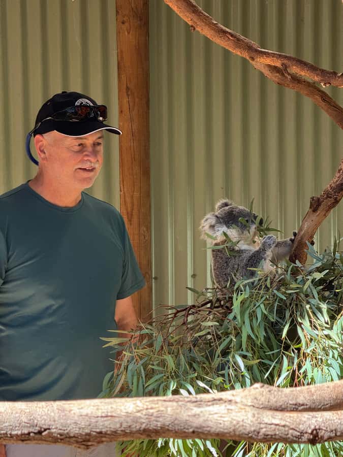Private BlueMountains, ScenicWorld & AustralianWildlife Tour - Featherdale Zoo: Koala and Kangaroo Time With Keeper Oversight