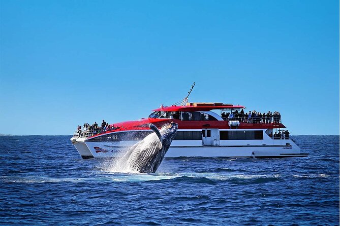 Private Catamaran Hire on Sydney Harbour - Value check: when $1,237.24 per group makes sense