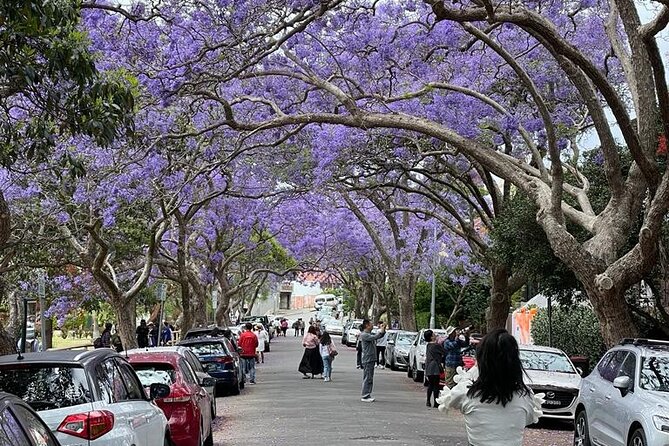 Private City Tour: Best of Sydney - Hickson Road Reserve to Harbour Bridge: The Classic Sydney Shot, Done Right