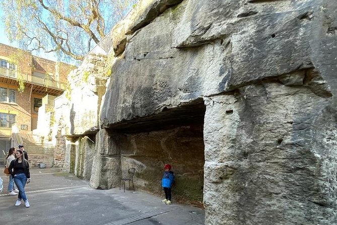 Private City Tour: Best of Sydney - Copes Lookout and The Domain: Views, Then More Views (With Purpose)