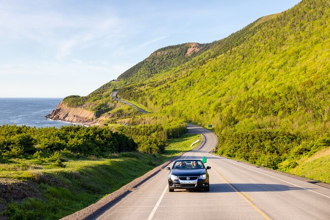 Private Cruise Excursion in Cape Breton - Price and value: $899.17 per group can be great or feel steep