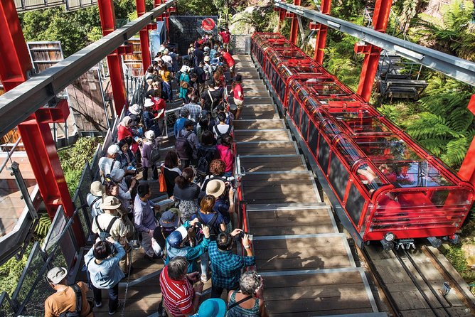 Private Guided Tour: Blue Mountains Tour from Sydney - Katoomba Falls and Jamison Valley: pretty waterfalls and big drop-offs