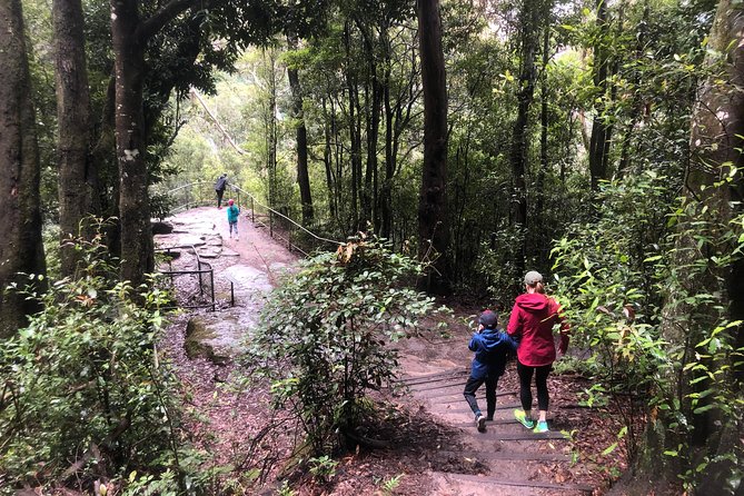 Private Guided Tour from Sydney to Blue Mountains National Park - Blue Mountains National Park: Three Sisters, Katoomba Falls, and the best lookouts