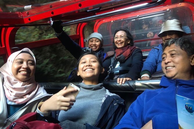 Private Guided Tour from Sydney to Blue Mountains National Park - Scenic Skyway: getting a final big-picture look
