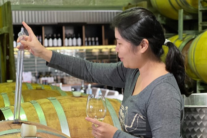 Private Hunter Valley Luxury Tour From Sydney - Binnorie Dairy Lovedale: Cheese Tasting as Your Hunter Valley Reset