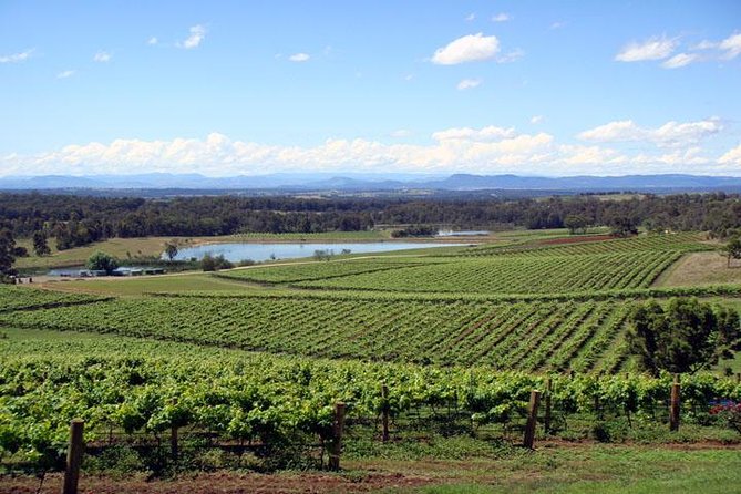Private Hunter Valley Wine-Tasting Day Tour from Sydney - Quick hits before you book