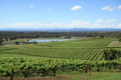 Private Hunter Valley Wine-Tasting Day Tour from Sydney - Hotel pickup and a luxury ride that actually helps