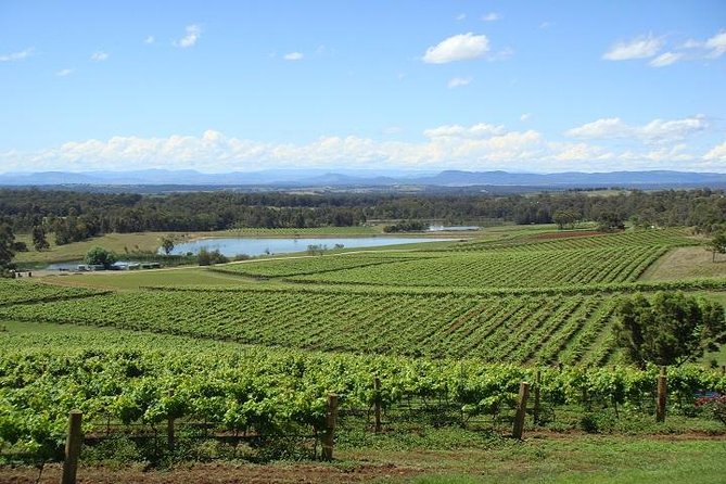Private Hunter Valley Wine-Tasting Day Tour from Sydney - Hotel pickup and a luxury ride that actually helps