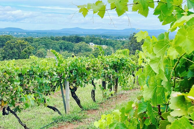 Private Hunter Valley Wine Tasting Tour from Sydney - From Sydney to the Hunter Valley: the private ride that sets the tone