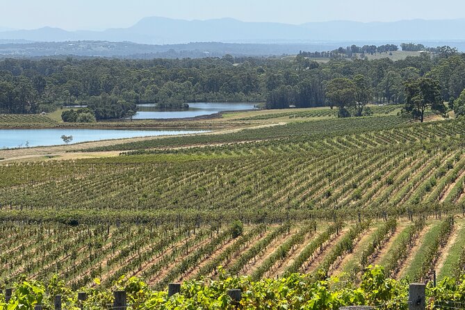 Private Hunter Valley Wine Tasting Tour from Sydney - What $465.49 includes—and what it doesn’t