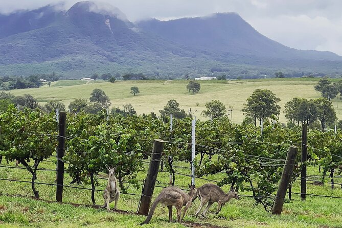 Private Hunter Valley Wine Tasting Tour from Sydney - Wollombi: the optional town stop and how it affects your wine count