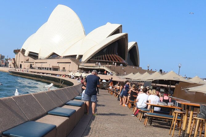 Private Luxury Half Day Sydney City Tour - Price and value: what $132.69 really buys (and what costs extra)
