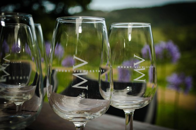 Private Luxury Tour: Tastes of the Hunter Valley - Who this tour suits best (and who may not)
