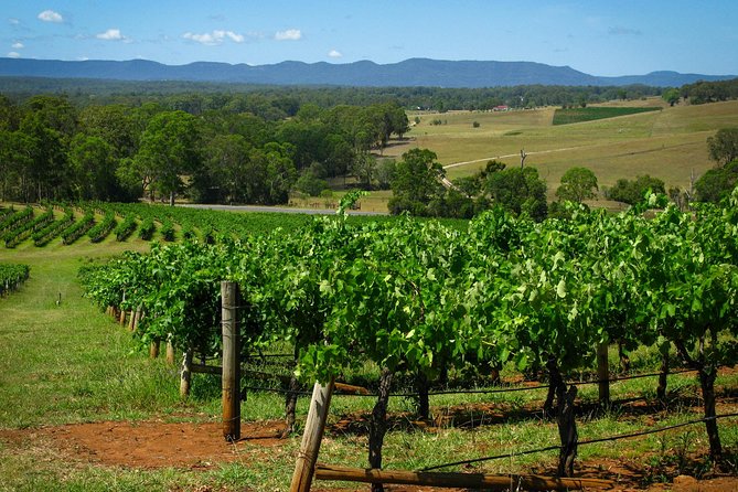 Private Luxury Tour: Tastes of the Hunter Valley - Sydney pickup at 7:30am: early, but the schedule is built for it