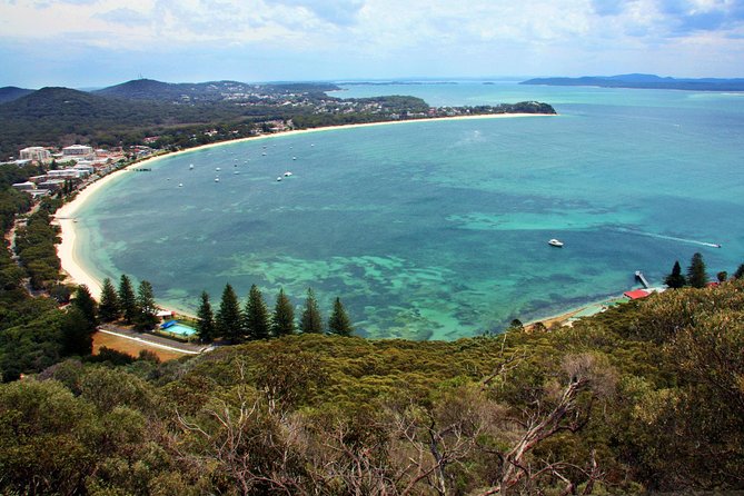 Private Port Stephens Day Trip from Sydney incl Dolphin Cruise - What the Price Includes—and Why It Can Still Feel Like Value