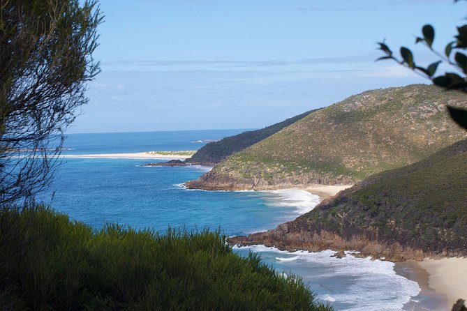 Private Port Stephens Day Trip from Sydney incl Dolphin Cruise - Who This Private Port Stephens Trip Is Best For