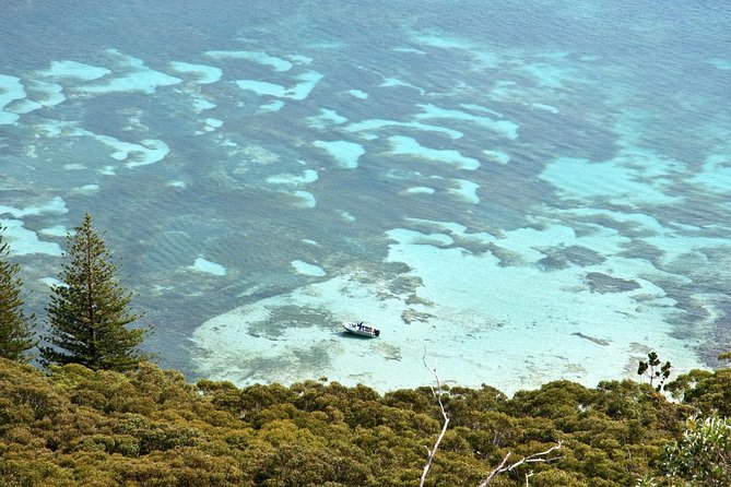 Private Port Stephens Day Trip from Sydney incl Dolphin Cruise - Tips to Get the Most Out of the Whole Day