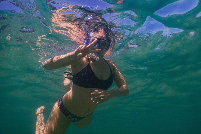 Private Snorkeling Tour In Sydney's Marine Reserve - Bronte-Coogee Marine Reserve: Why Sydney Is Worth a Snorkel Mask